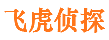 远安市侦探公司